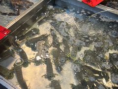 -湛江渔港·大排档(乐园路总店)