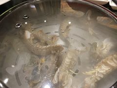 -苏大嘴海鲜牧场(奥林匹克店)