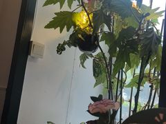 -懒人盐府人家·自贡大麻鱼(安贞店)