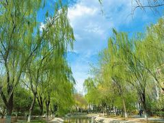 -丰台科技园生态主题公园