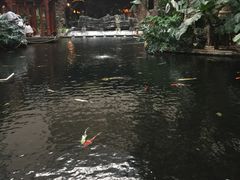 -顺景温泉