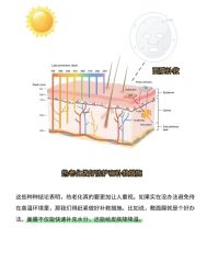 -春田皮肤管理中心品牌旗舰店