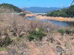 -广州市流溪河国家森林公园