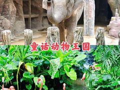 -长鹿旅游休博园