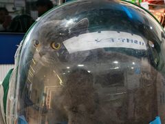 -它主义宠物(梁溪万达店)