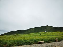 -扁都口生态休闲旅游区