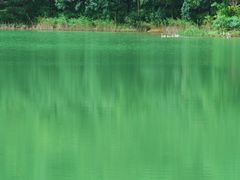 -广州白江湖森林公园