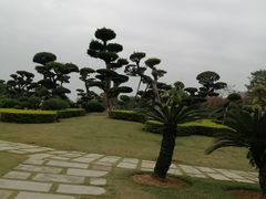 -南宁南湖公园