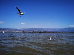 -西昌邛海湿地