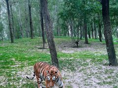 -北京野生动物园