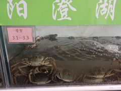 -阳澄湖大闸蟹·琼灵阁牌品牌连锁(吴中总店)