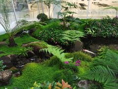 -罗红摄影艺术馆