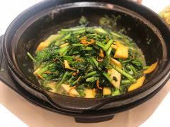 砂锅养生野菜-金春禧(世茂国际广场店)