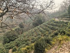 -南北湖风景区