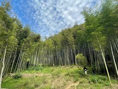-五泄景区