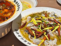 -太二酸菜鱼(赛格国际店)