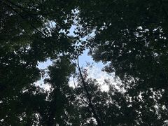 -怀北漂流