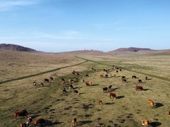 -塞罕坝国家级自然保护区