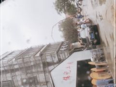 -伟记牛肉(金鸿公路店)