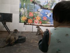 -西安秦岭野生动物园