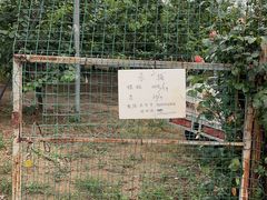 -意大利农场度假村