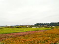 -光明小镇欢乐田园