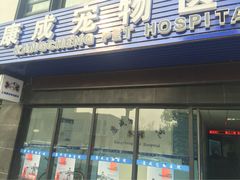 上海康成宠物医院-康成宠物医院24H·CT·核磁共振