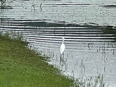 -长广溪湿地公园