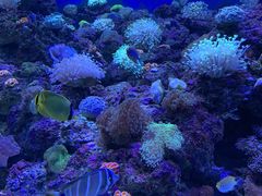 -成都浩海立方海洋公园