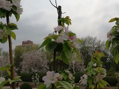 -海棠花溪(元大都城垣遗址公园)