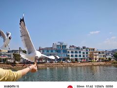 -大理洱海