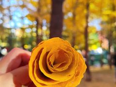 -森林公园(尖草坪区)