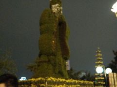 android_upload_pic-西北湖绿化广场
