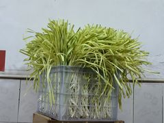 -尤素福东举院饺子馆