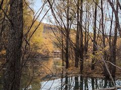 -洮儿河国家湿地公园