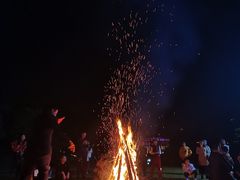 -蚝翅·海鲜粥·烧烤·宁夏滩羊季(玉米楼店)