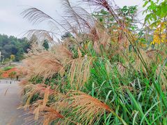 -阿哈湖国家湿地公园