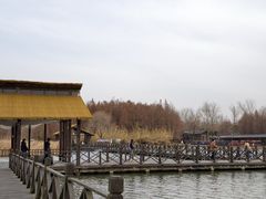 -溱湖国家湿地公园