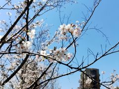 -新天地活力PARK