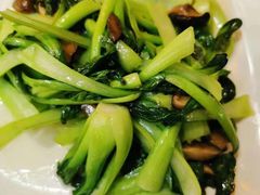 -印象江南(东栅店)