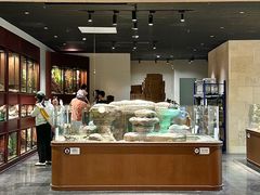 -帕帕拉兹宠物(亚洲旗舰店)