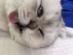 -佳雯宠物医院(四明中路分院)