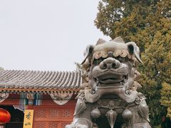 -香山公园