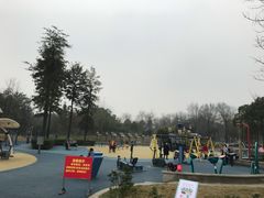 -眉山湿地公园(东坡区)