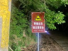 -紫金山山顶公园