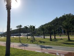 -野狸岛