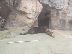 -南昌动物园