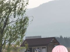 -丽江植物园