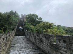 -黄贤森林公园