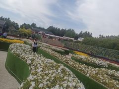 -莫子山公园